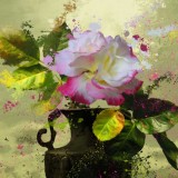 Embellish Giclee.Video